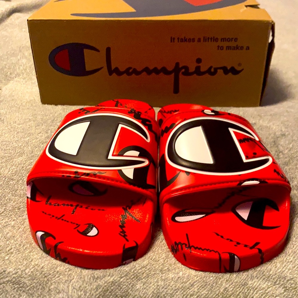 COPY - Champion slides